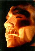 Skull Projection